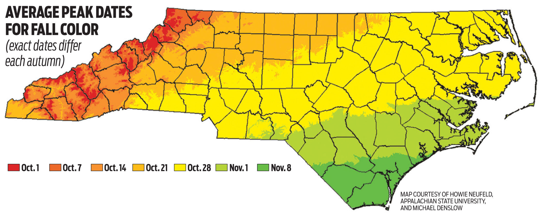 Where and when to leaf look